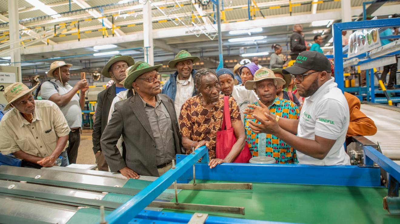 Kakuzi PLC shareholders tour ingof the farm’s operations in Murang’a County. PHOTO/COURTESY